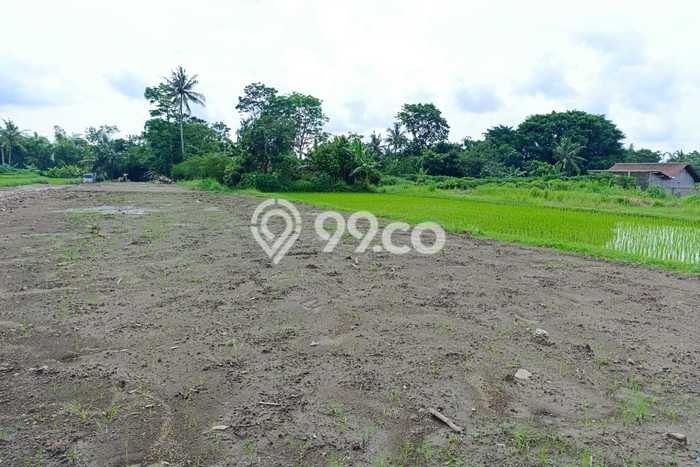Tanah di Sleman, Sleman Luas 100m2 Dijual Segera Tanah di Sleman, Sleman Luas 100m2 Dijual Segera