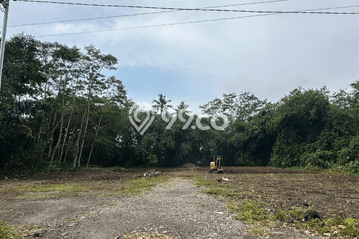 Tanah Dijual Lokasi Sleman Sleman SHM Tanah Dijual Lokasi Sleman Sleman SHM