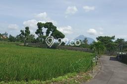 Lahan Investasi Lokasi Kalasan Sleman PPJB Lahan Investasi Lokasi Kalasan Sleman PPJB
