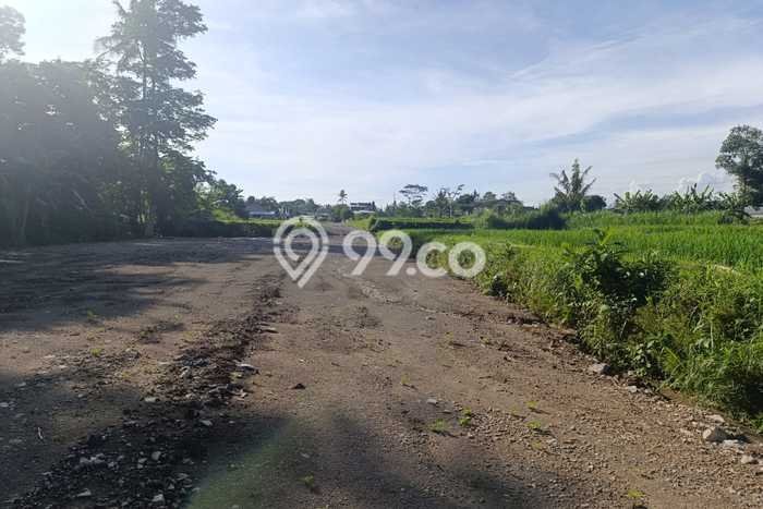 Jarang Ada! Tanah di Sleman Punya Luas 100m2 PPJB Jarang Ada! Tanah di Sleman Punya Luas 100m2 PPJB