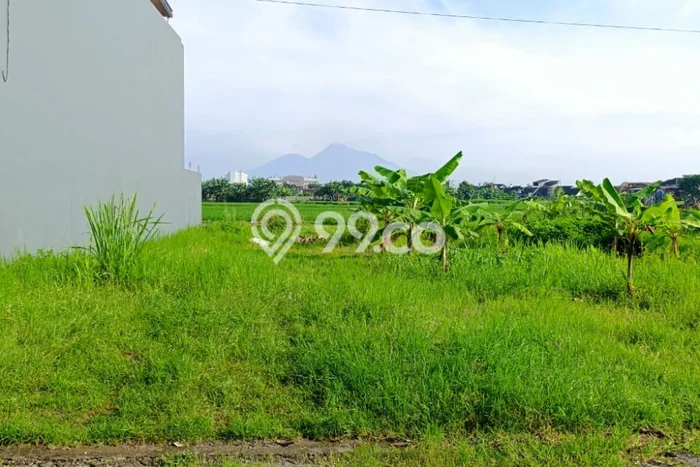 Tanah Siap Bangun Dijual di Sleman Punya Luas 214m2 Tanah Siap Bangun Dijual di Sleman Punya Luas 214m2