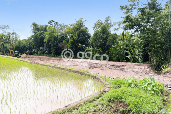 Tanah Kavling untuk Dijual di Sleman Sleman 100m2 Tanah Kavling untuk Dijual di Sleman Sleman 100m2