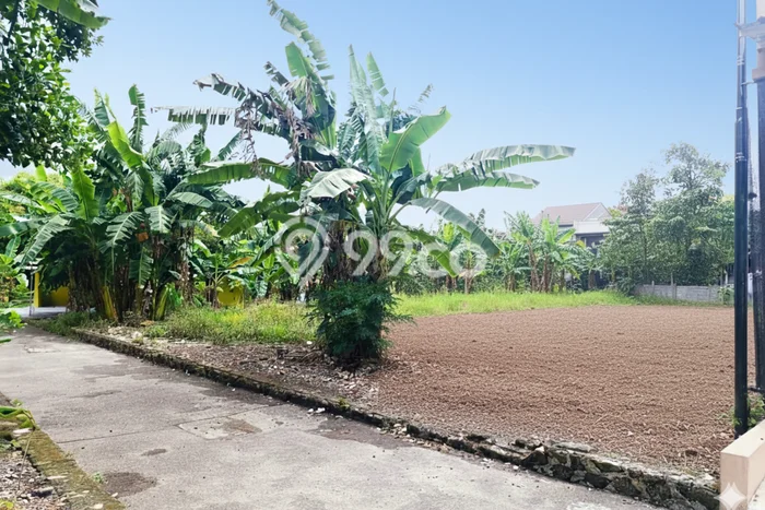 Tanah di Prambanan, Klaten Luas 256m2 Dijual Segera Tanah di Prambanan, Klaten Luas 256m2 Dijual Segera