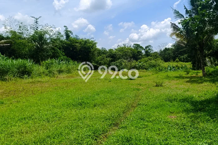 Tanah Komersial Dijual di Pakem Sleman 119m2 Tanah Komersial Dijual di Pakem Sleman 119m2