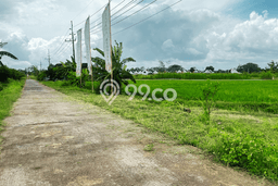 Tanah Dijual Lokasi Godean, Sleman Luas 108m2 Legalitas Aman Tanah Dijual Lokasi Godean, Sleman Luas 108m2 Legalitas Aman