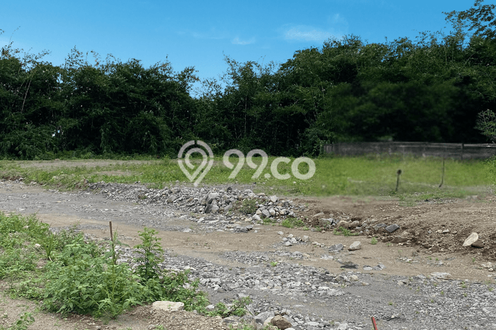 Tanah Dijual Lokasi Kalasan Sleman SHM Tanah Dijual Lokasi Kalasan Sleman SHM