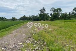 Kavling Tanah Dijual di Sleman Sleman Spesifikasi 110m2 Kavling Tanah Dijual di Sleman Sleman Spesifikasi 110m2