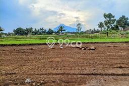 Tanah di Sleman, Sleman Luas 139m2 Dijual Segera Tanah di Sleman, Sleman Luas 139m2 Dijual Segera