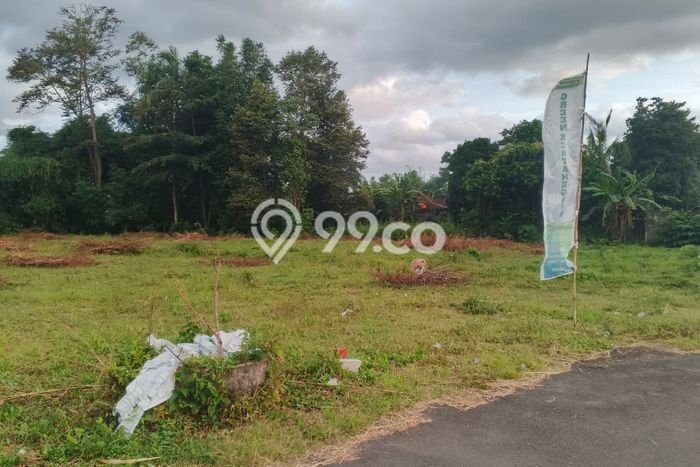 Tanah Dijual Lokasi Kalasan, Sleman dengan Luas Tanah 120m2 dan Status SHM Tanah Dijual Lokasi Kalasan, Sleman dengan Luas Tanah 120m2 dan Status SHM
