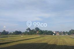 Kavling Tanah Dijual di Sleman Sleman Spesifikasi 139m2 Kavling Tanah Dijual di Sleman Sleman Spesifikasi 139m2