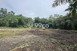 Tanah Dijual Lokasi Strategis di Sleman dengan Luas 118m2 Tanah Dijual Lokasi Strategis di Sleman dengan Luas 118m2
