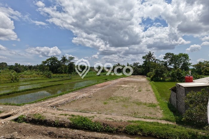 Lahan Dijual Lokasi Kotagede, Yogyakarta dengan Luas Tanah 100m2 dan Status SHM Lahan Dijual Lokasi Kotagede, Yogyakarta dengan Luas Tanah 100m2 dan Status SHM