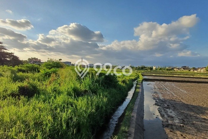 Tanah di Sleman, Sleman Luas 210m2 Dijual Segera Tanah di Sleman, Sleman Luas 210m2 Dijual Segera