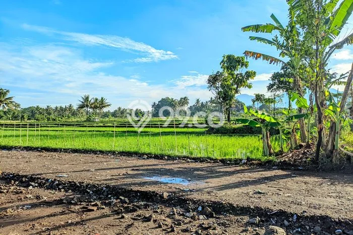 Kavling Tanah Dijual di Mlati Sleman Spesifikasi 139m2 Kavling Tanah Dijual di Mlati Sleman Spesifikasi 139m2