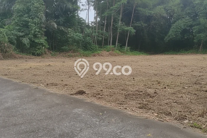 Tanah untuk Dijual di Mlati Sleman Luas 114m2 Tanah untuk Dijual di Mlati Sleman Luas 114m2