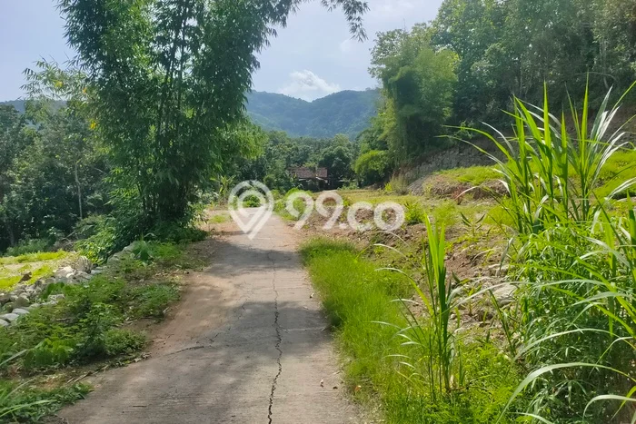 Lahan Kosong Dijual di Bantul dengan Area 192m2 Lahan Kosong Dijual di Bantul dengan Area 192m2
