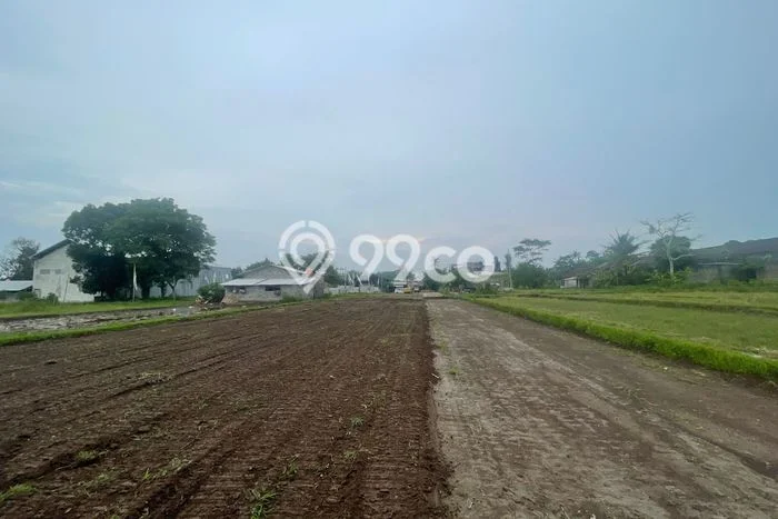 Tanah di Ngaglik, Sleman Luas 100m2 Dijual Segera Tanah di Ngaglik, Sleman Luas 100m2 Dijual Segera