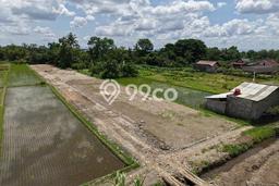 Tanah untuk Dijual Lokasi Sleman, Sleman Luas 113m2 PPJB Tanah untuk Dijual Lokasi Sleman, Sleman Luas 113m2 PPJB