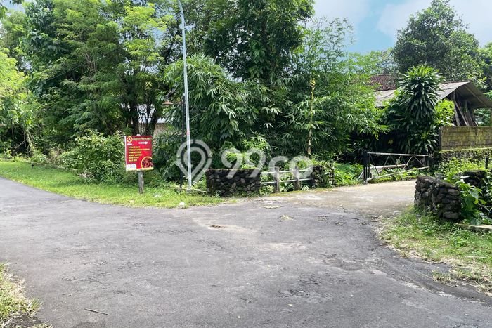 Tanah Siap Bangun Dijual di Yogyakarta Punya Luas 168m2 Tanah Siap Bangun Dijual di Yogyakarta Punya Luas 168m2