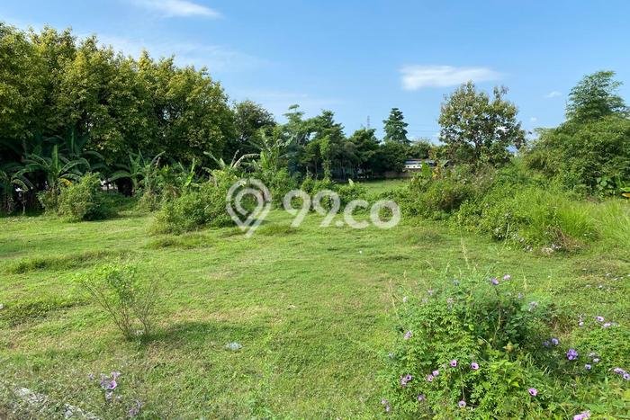 Tanah Dijual di Yogyakarta Seluas 112m2 Strategis Tanah Dijual di Yogyakarta Seluas 112m2 Strategis