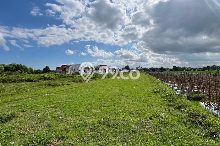 Tanah di Girimulyo, Kulon Progo Luas 110m2 Dijual Segera Tanah di Girimulyo, Kulon Progo Luas 110m2 Dijual Segera