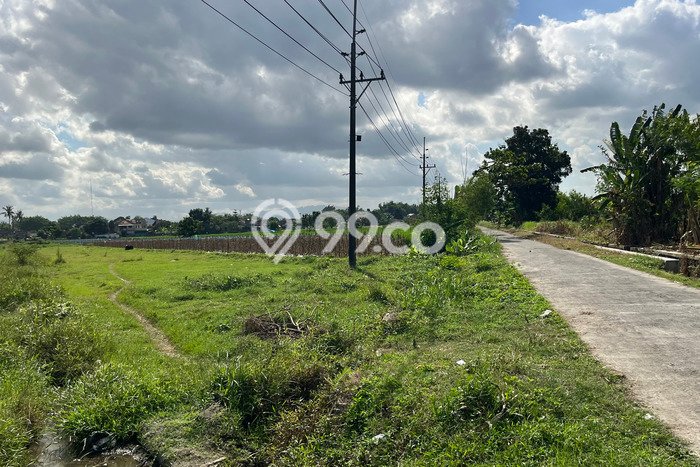 Tanah di Girimulyo, Kulon Progo Luas 110m2 Dijual Segera Tanah di Girimulyo, Kulon Progo Luas 110m2 Dijual Segera