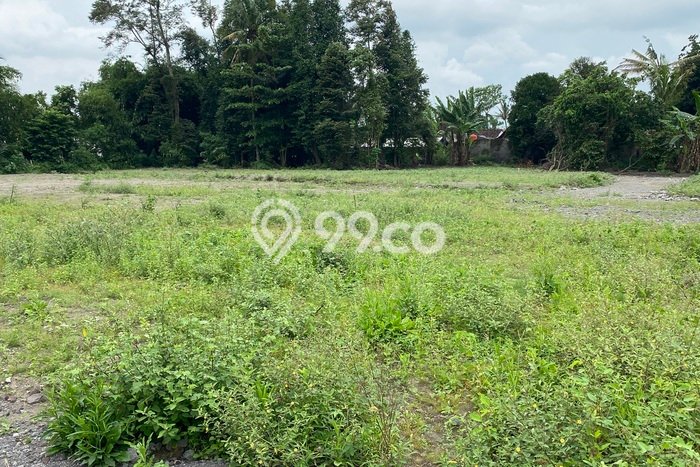 Lahan untuk Dijual Lokasi Galur, Kulon Progo Luas 120m2 PPJB Lahan untuk Dijual Lokasi Galur, Kulon Progo Luas 120m2 PPJB