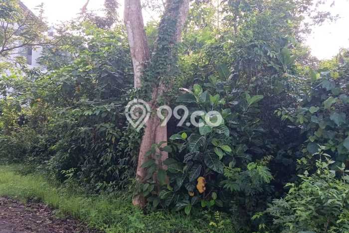 Tanah Kavling Dijual di Pecatu, Badung dengan Luas Tanah 570m2 Tanah Kavling Dijual di Pecatu, Badung dengan Luas Tanah 570m2