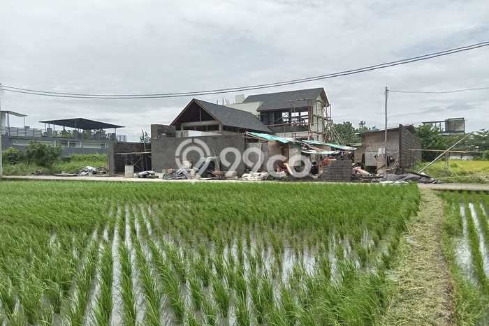 Tanah Kavling Dijual di Tabanan dengan Spesifikasi 250m2 Tanah Kavling Dijual di Tabanan dengan Spesifikasi 250m2