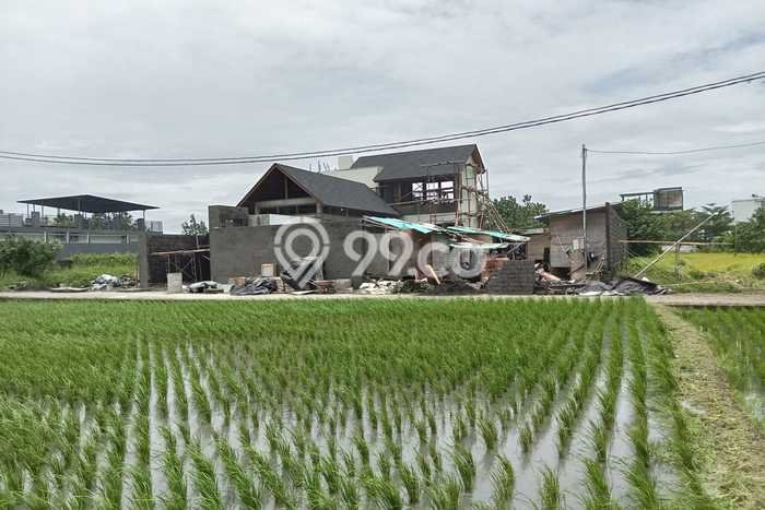 Tanah Kavling Dijual di Tabanan dengan Spesifikasi 250m2 Tanah Kavling Dijual di Tabanan dengan Spesifikasi 250m2
