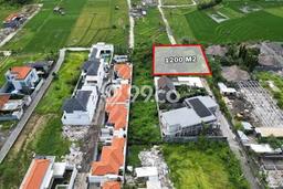 Kavling Tanah Dijual di Umalas Badung Spesifikasi 1200m2 Kavling Tanah Dijual di Umalas Badung Spesifikasi 1200m2