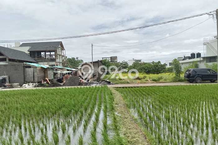 Tanah Kavling Dijual di Tabanan dengan Spesifikasi 250m2 Tanah Kavling Dijual di Tabanan dengan Spesifikasi 250m2
