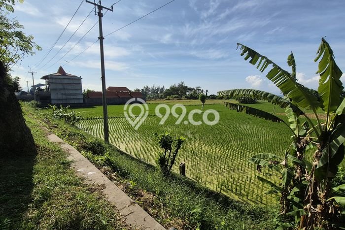 Tanah Kavling Dijual di Lebih, Gianyar dengan Luas Tanah 914m2 Tanah Kavling Dijual di Lebih, Gianyar dengan Luas Tanah 914m2