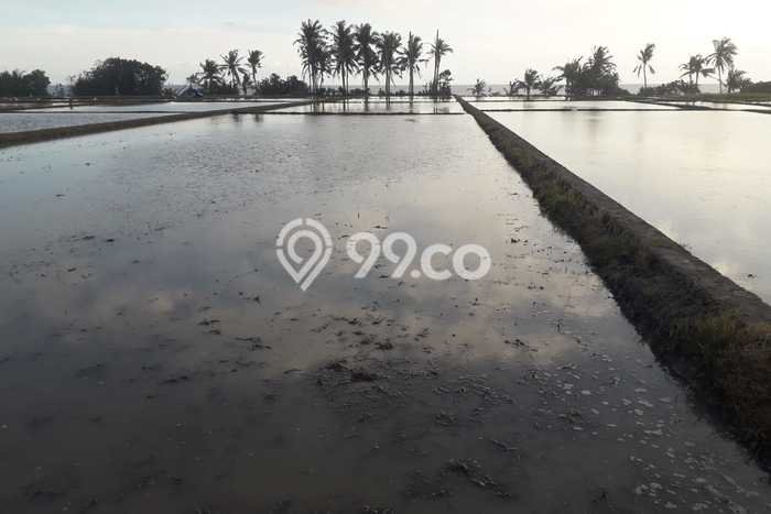 Tanah Dijual di Tabanan Seluas 2200m2 Strategis Tanah Dijual di Tabanan Seluas 2200m2 Strategis