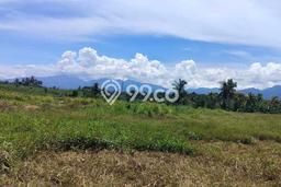 Untuk Dijual Tanah 16000m2 di Yehembang, Jembrana Untuk Dijual Tanah 16000m2 di Yehembang, Jembrana