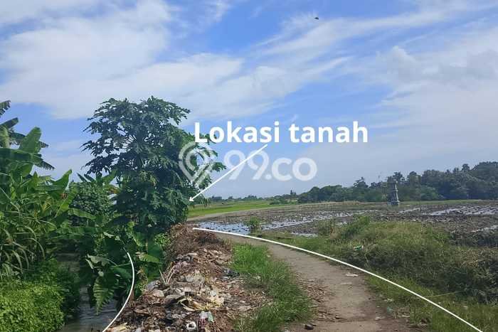 Tanah Dijual Lokasi Strategis di Tabanan dengan Luas 2860m2 Tanah Dijual Lokasi Strategis di Tabanan dengan Luas 2860m2