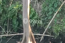 Tanah Siap Bangun Dijual di Gianyar Punya Luas 2550m2 Tanah Siap Bangun Dijual di Gianyar Punya Luas 2550m2