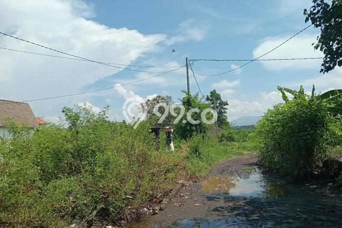 Kavling Tanah di Seririt Dijual Luas 4400m2 Legalitas SHM Kavling Tanah di Seririt Dijual Luas 4400m2 Legalitas SHM
