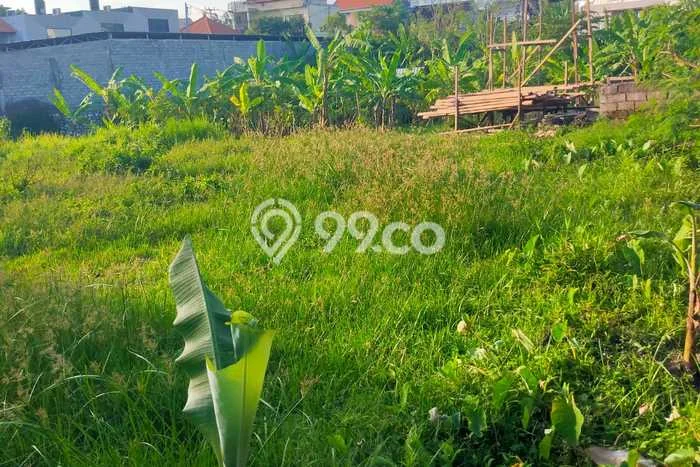 Lahan Dijual Lokasi Strategis di Badung dengan Luas 1130m2 Lahan Dijual Lokasi Strategis di Badung dengan Luas 1130m2
