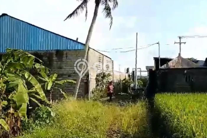 Tanah Kavling Dijual di Gianyar dengan Spesifikasi 1600m2 Tanah Kavling Dijual di Gianyar dengan Spesifikasi 1600m2