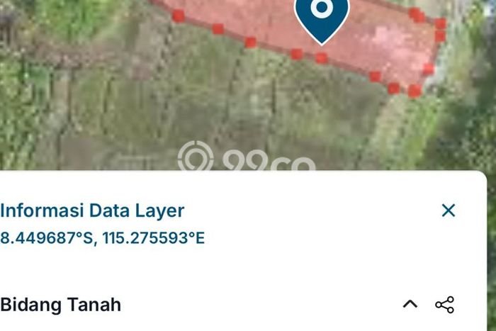Tanah Dijual Lokasi Tegallalang, Gianyar Luas 6300m2 Legalitas Aman Tanah Dijual Lokasi Tegallalang, Gianyar Luas 6300m2 Legalitas Aman