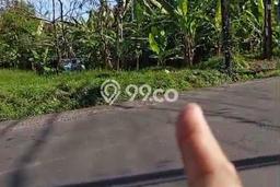Tanah Dijual di Tabanan Seluas 1060m2 Strategis Tanah Dijual di Tabanan Seluas 1060m2 Strategis