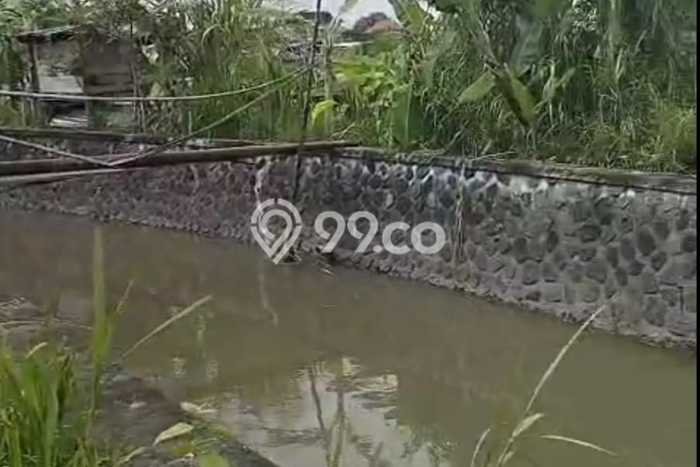 Kavling Tanah untuk Dijual di Seminyak, Badung, Luas 2000m2 Kavling Tanah untuk Dijual di Seminyak, Badung, Luas 2000m2