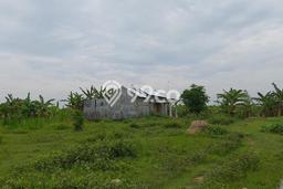 Kavling Tanah di Kapas Dijual Luas 136m2 Legalitas SHM Kavling Tanah di Kapas Dijual Luas 136m2 Legalitas SHM