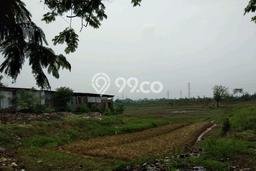 Lahan Dijual Lokasi Driyorejo, Gresik dengan Luas Tanah 4267m2 dan Status - Lahan Dijual Lokasi Driyorejo, Gresik dengan Luas Tanah 4267m2 dan Status -
