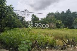 Tanah di Binuang, Tapin Luas 3760m2 Dijual Segera Tanah di Binuang, Tapin Luas 3760m2 Dijual Segera