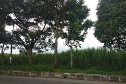 Dijual Tanah di Malang, Luas 26478m2 SHM Dijual Tanah di Malang, Luas 26478m2 SHM