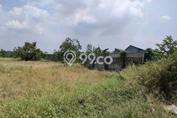Tanah Dijual Lokasi Pakal Surabaya SHM Tanah Dijual Lokasi Pakal Surabaya SHM