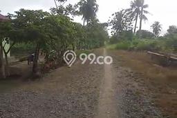Lahan untuk Dijual Lokasi Asparaga, Gorontalo Luas 2500m2 SHM Lahan untuk Dijual Lokasi Asparaga, Gorontalo Luas 2500m2 SHM