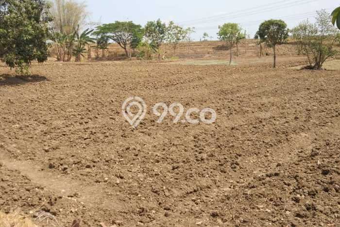 Untuk Dijual Tanah di Kedamean Gresik Luas 25000m2 SHM Untuk Dijual Tanah di Kedamean Gresik Luas 25000m2 SHM